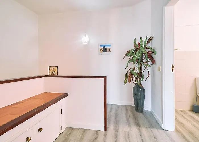 Casa Sauchi Mit Gemeinschaftspool - Neu Renoviert Albufeira
